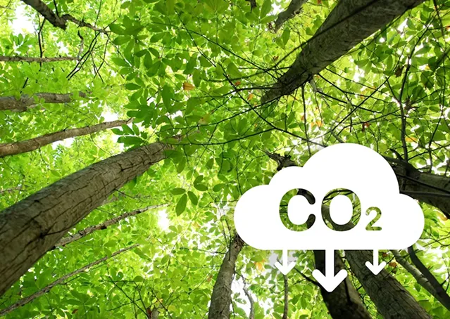 carbon2.webp
