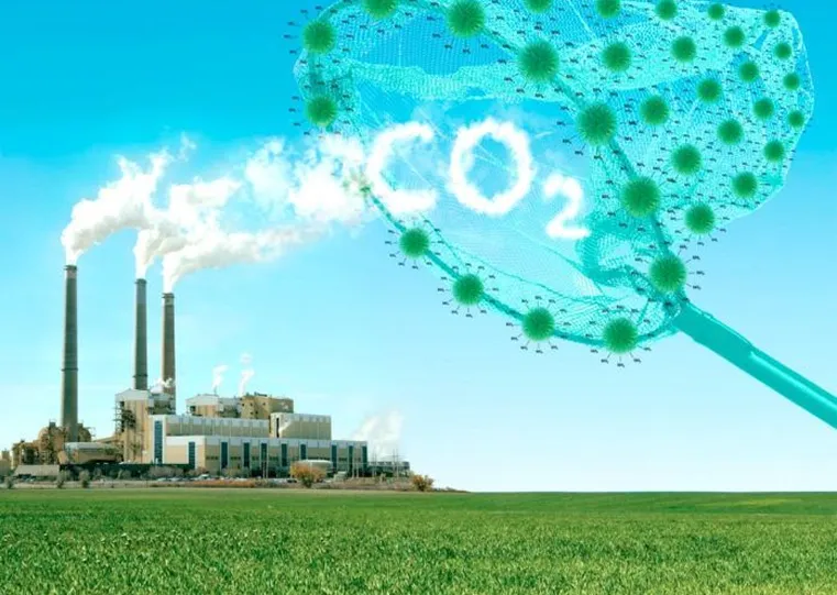 sustainability2.webp