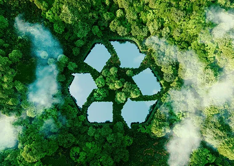 sustainability4.webp